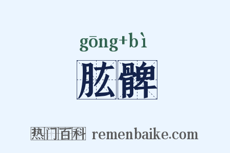 肱髀是什么意思的图片